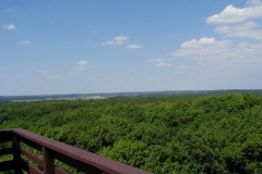 p7090088