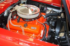 badger_state_show,_#1b0011