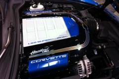 09_cp_g_gau_zr-1