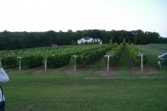 bus_tour__blue_ridge_winery