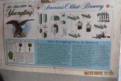 how_yuengling_beer_is_made