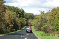 16tree_tunnel