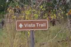 11ice_age_center_trails