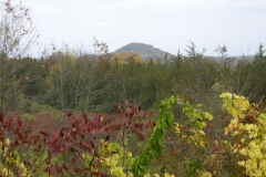 9ice_age_center_deck