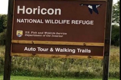 5-HORICON-MARSH-SIGN