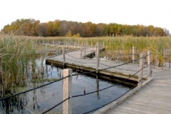 6-HORICON-MARSH-BROADWALK